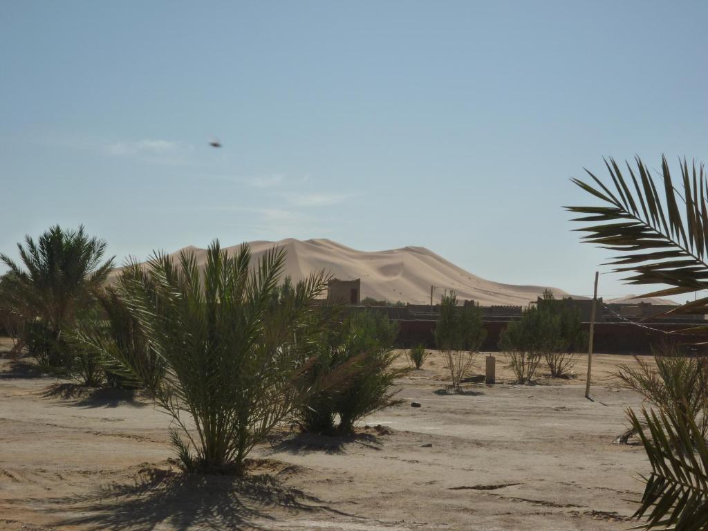 Auberge Africa Merzouga Exteriér fotografie