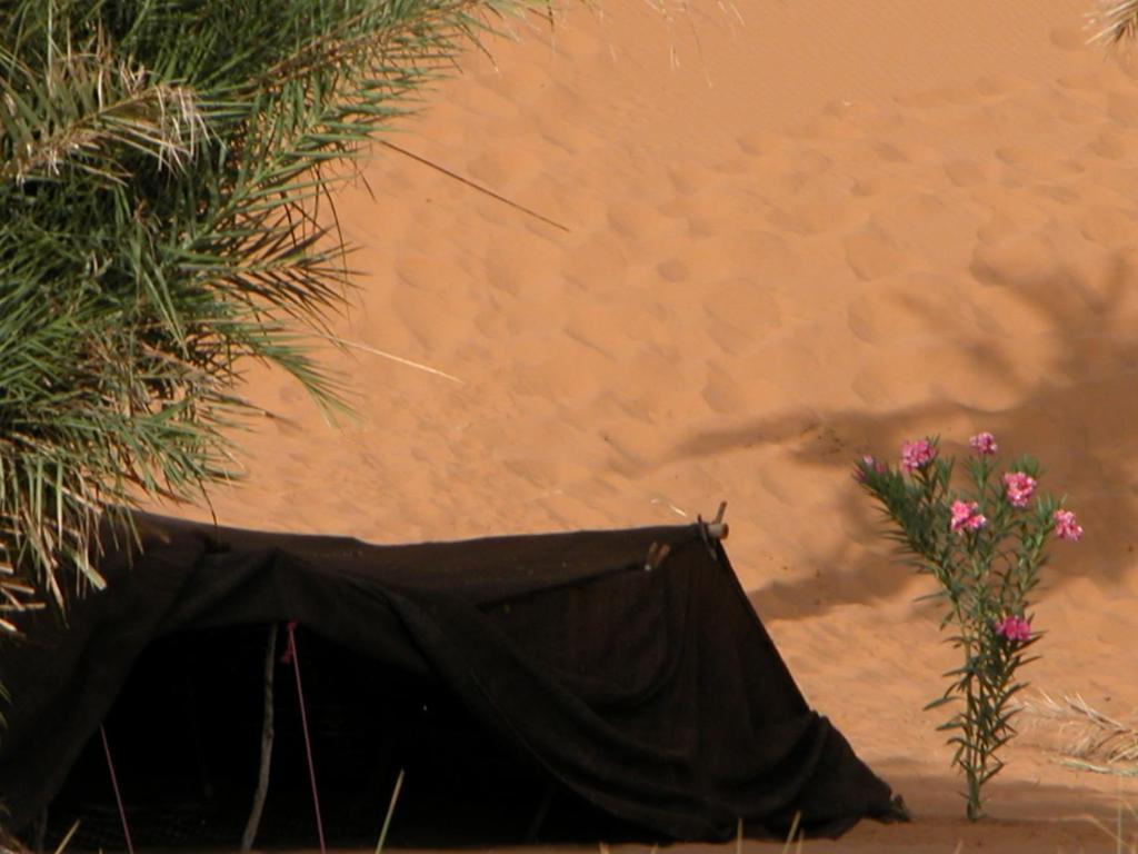 Auberge Africa Merzouga Pokoj fotografie