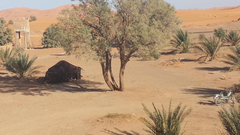 Auberge Africa Merzouga Exteriér fotografie