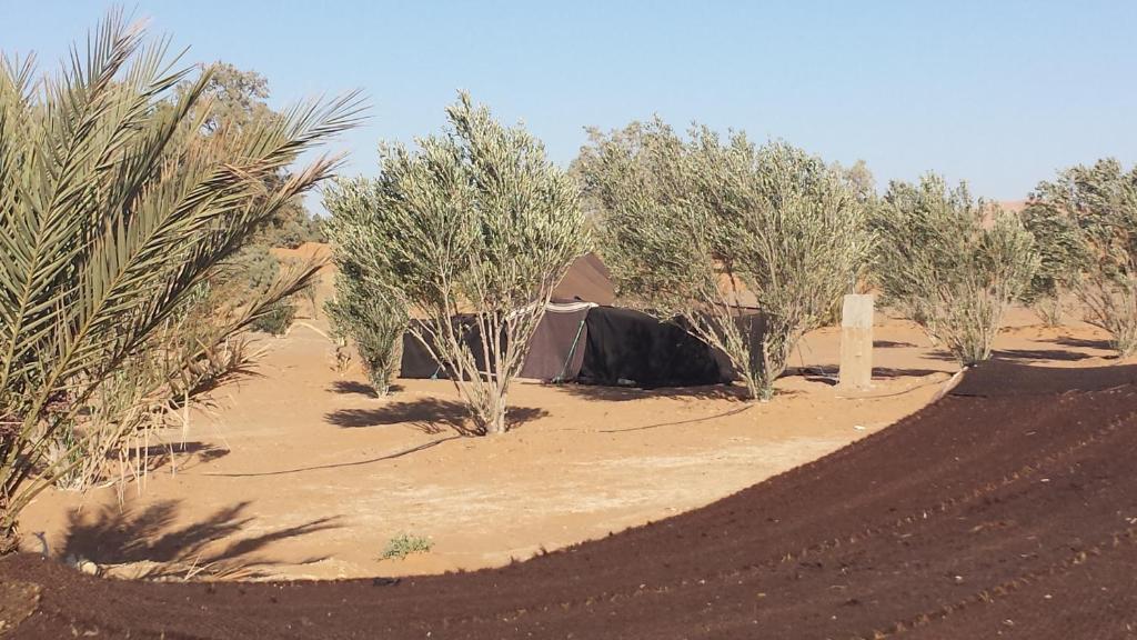 Auberge Africa Merzouga Pokoj fotografie