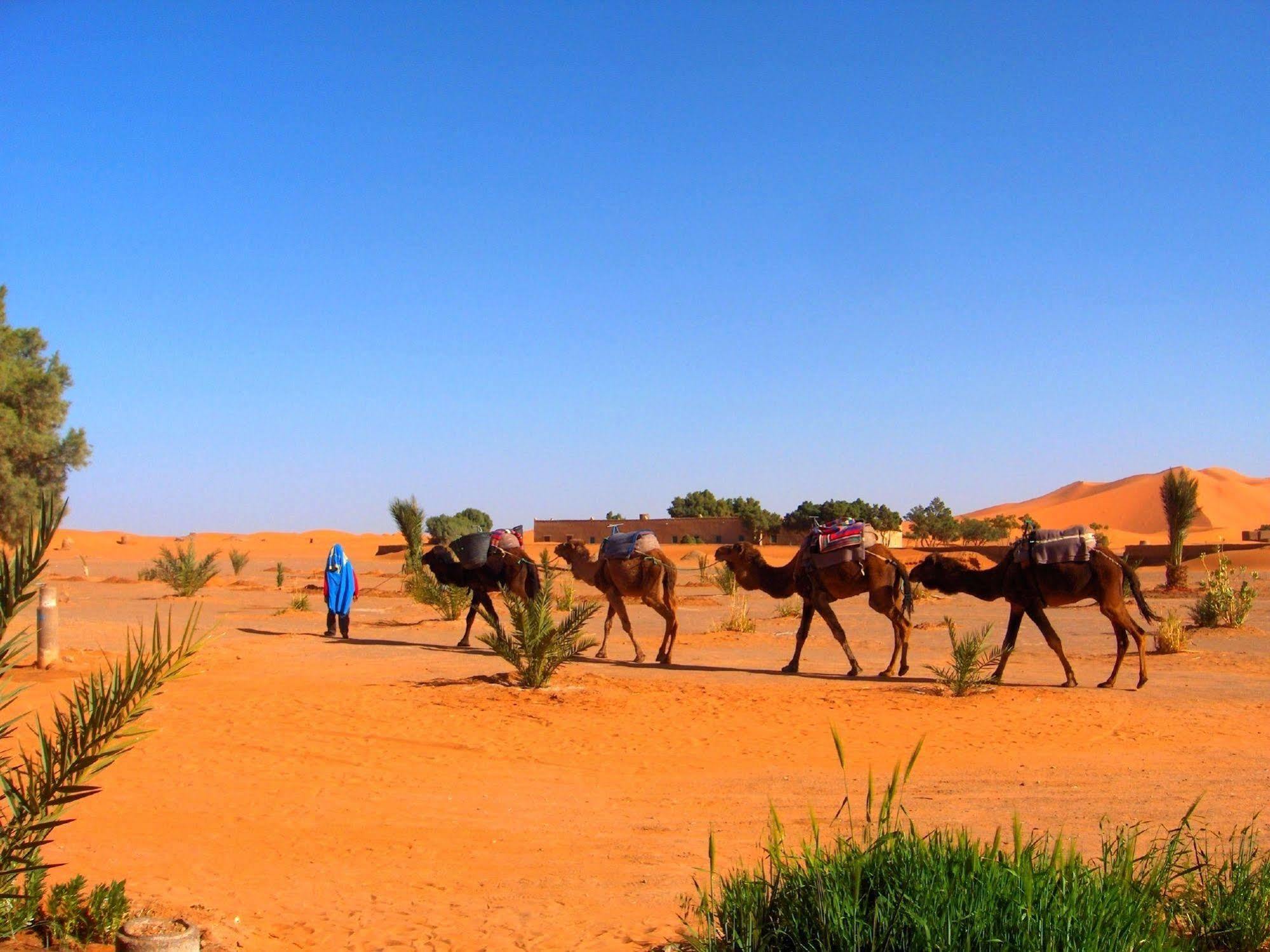 Auberge Africa Merzouga Exteriér fotografie