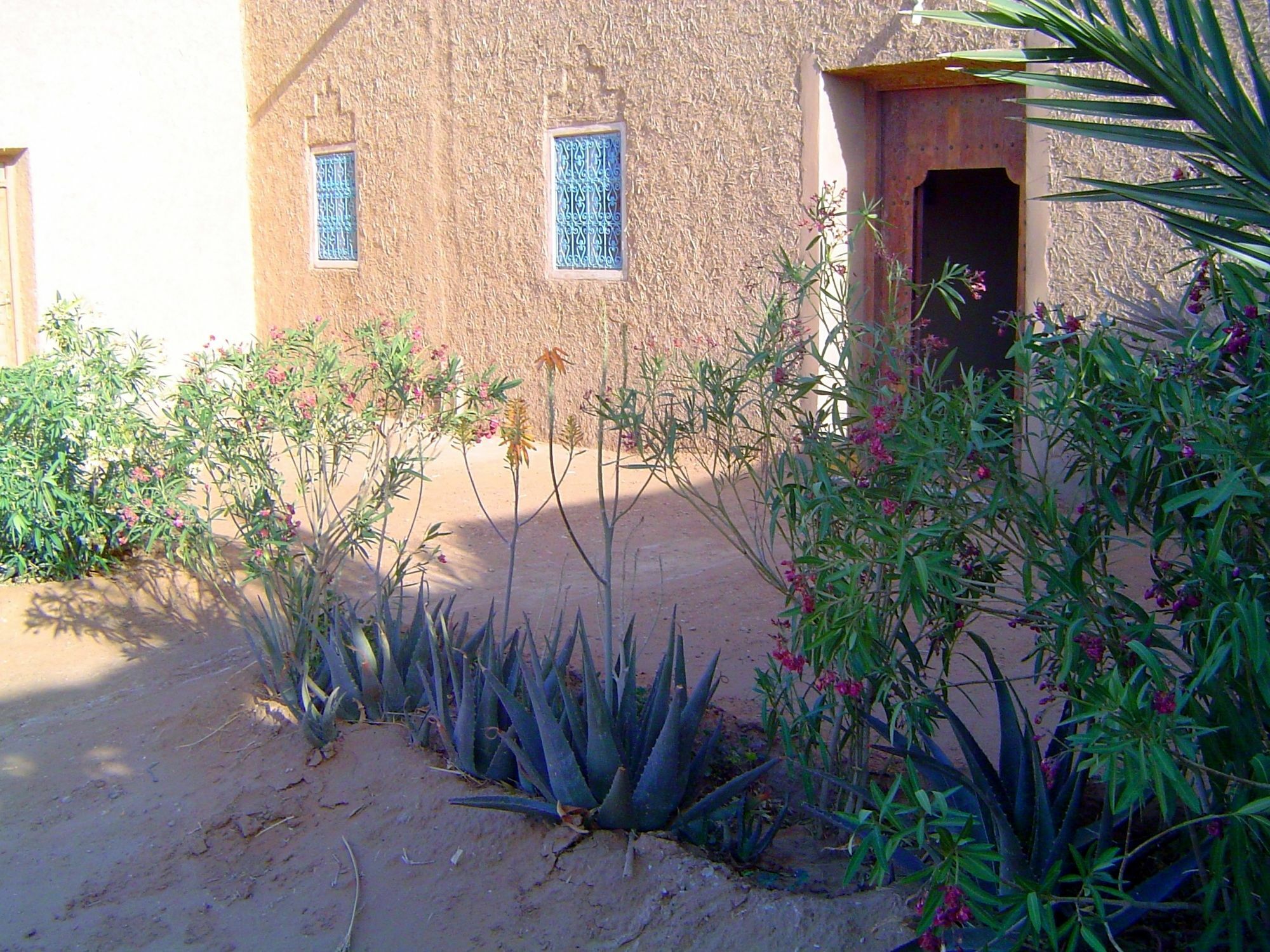 Auberge Africa Merzouga Exteriér fotografie